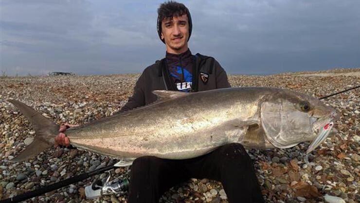 18 yaşındaki Alperen, kıyıdan olta ile 42 kilogramlık balık tuttu