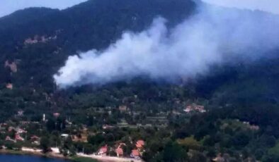 Son dakika: İzmir Ödemişte yangın çıktı!