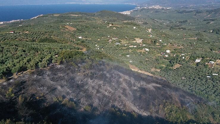 Mudanya’da çıkan orman yangını kontrol altına alındı
