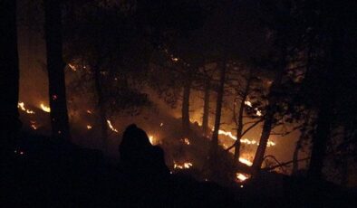 Son dakika: Anamurdaki orman yangını kontrol altına alındı