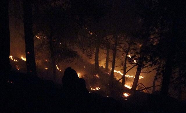 Son dakika: Anamurdaki orman yangını kontrol altına alındı