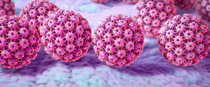 HPV Enfeksiyonu ve AHCC’nin Rolü: Bilinmesi Gerekenler