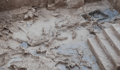 İspanya’da Demir Çağı’na Ait Antik Hayvan Kemikleri Bulundu