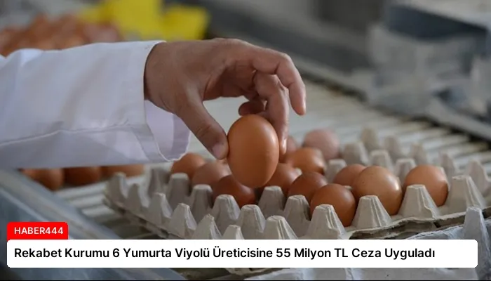 Rekabet Kurumu 6 Yumurta Viyolü Üreticisine 55 Milyon TL Ceza Uyguladı