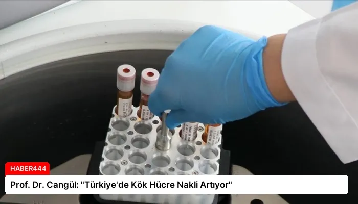 Prof. Dr. Cangül: “Türkiye’de Kök Hücre Nakli Artıyor”