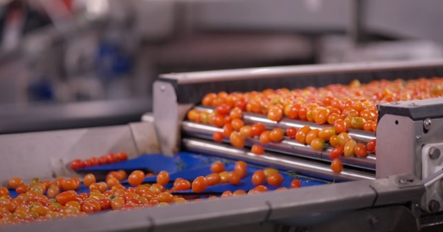 Endüstriyel makinada yerli güç, 60. yılında geleceğe odaklandı 