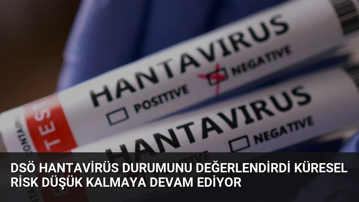 DSÖ Hantavirüs Durumunu Değerlendirdi Küresel Risk Düşük Kalmaya Devam Ediyor