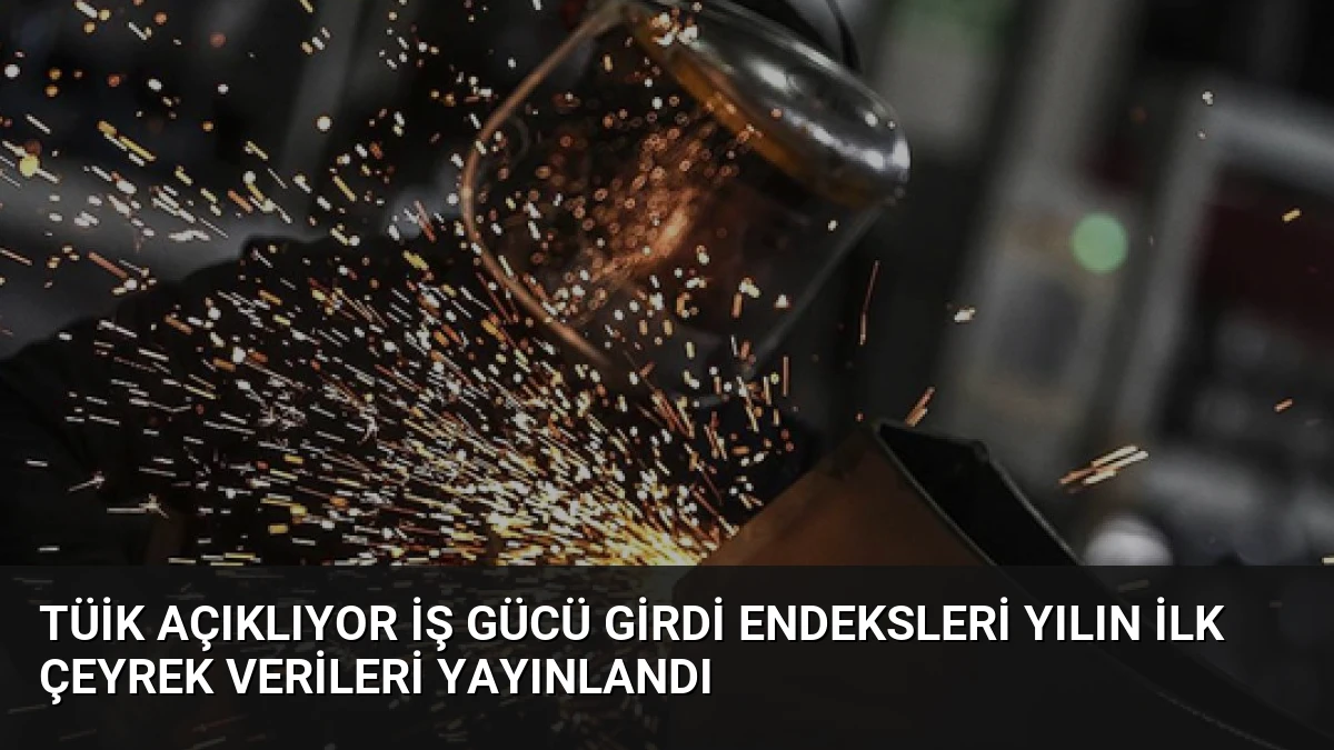 TÜİK Açıklıyor İş Gücü Girdi Endeksleri Yılın İlk Çeyrek Verileri Yayınlandı