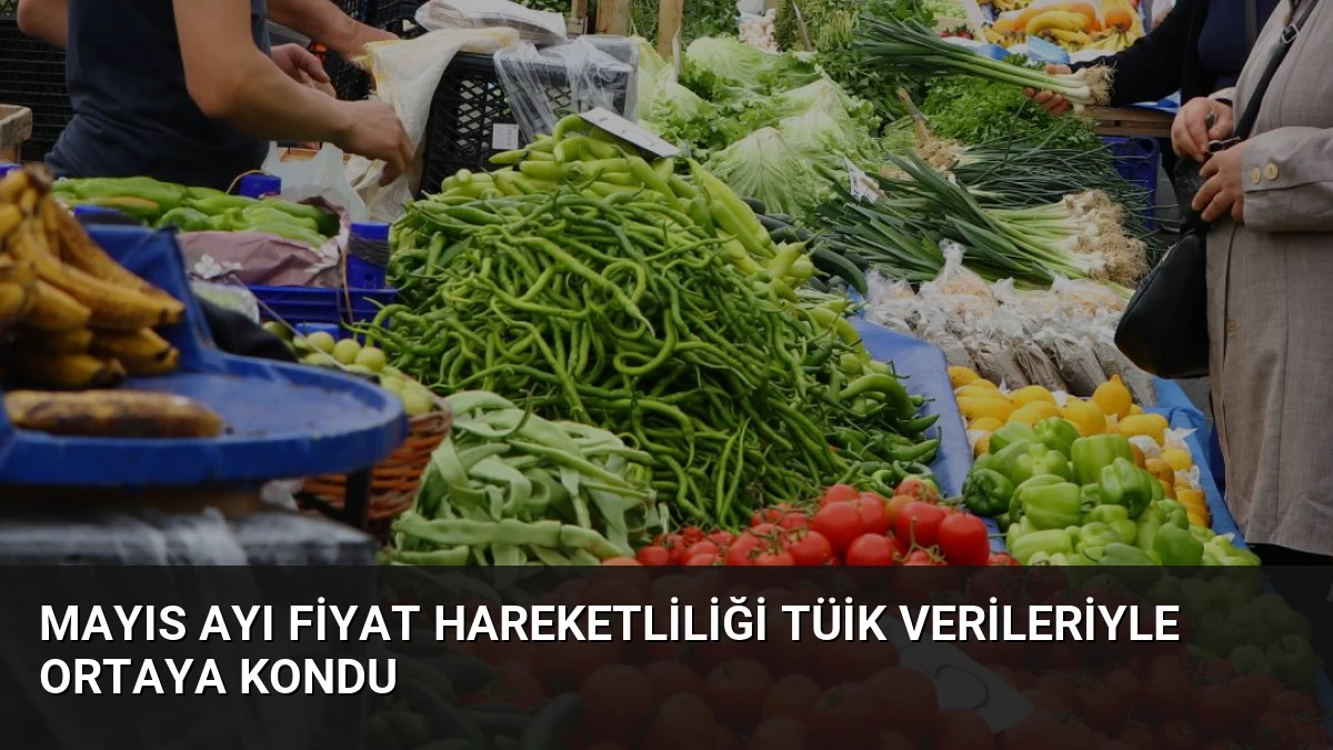Mayıs Ayı Fiyat Hareketliliği TÜİK Verileriyle Ortaya Kondu