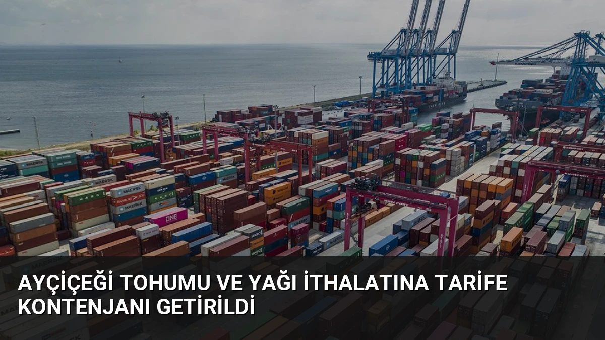 Ayçiçeği Tohumu ve Yağı İthalatına Tarife Kontenjanı Getirildi