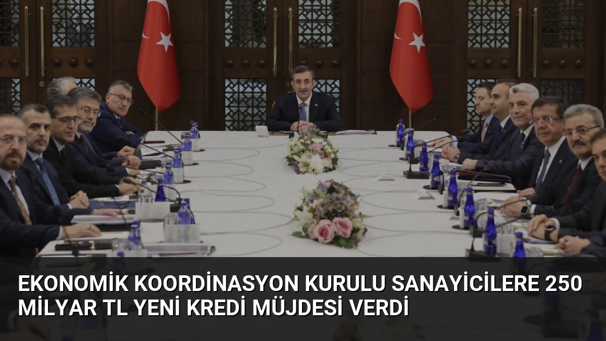 Ekonomik Koordinasyon Kurulu Sanayicilere 250 Milyar TL Yeni Kredi Müjdesi Verdi