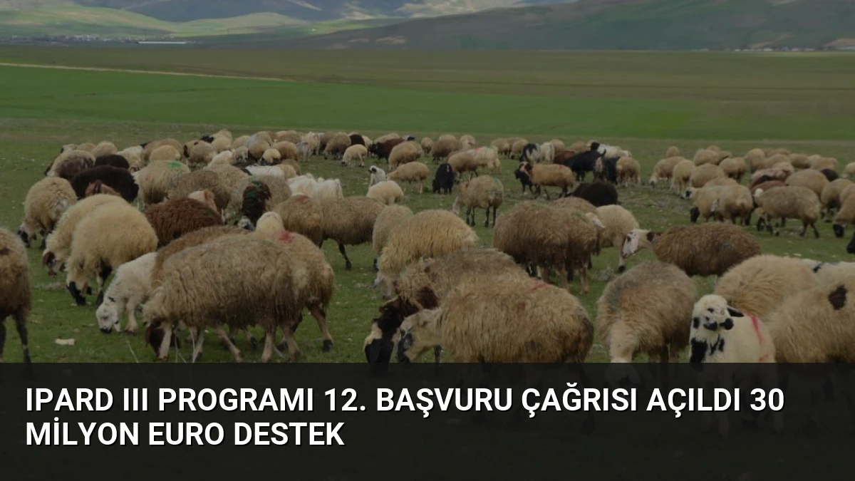 IPARD III Programı 12. Başvuru Çağrısı Açıldı 30 Milyon Euro Destek