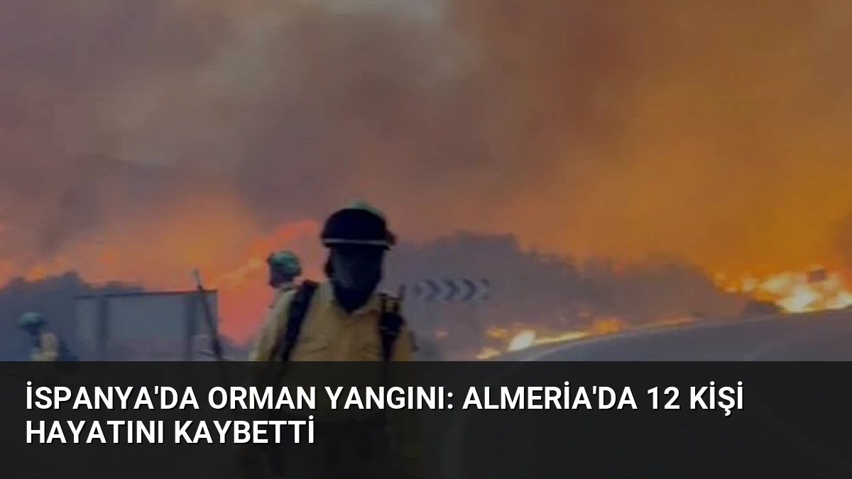 İspanya’da Orman Yangını: Almeria’da 12 Kişi Hayatını Kaybetti