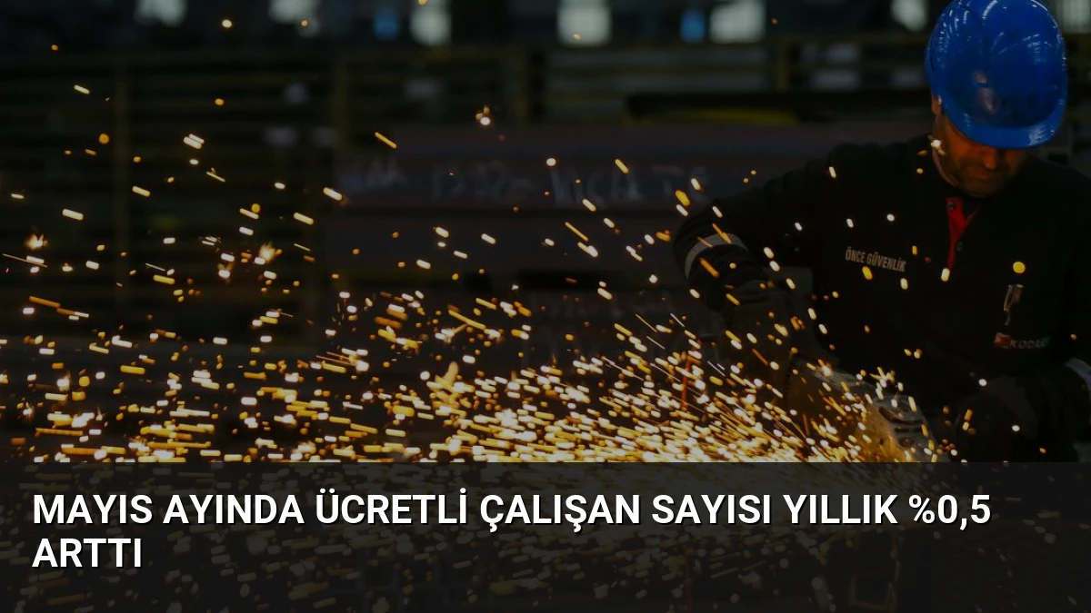 Mayıs Ayında Ücretli Çalışan Sayısı Yıllık %0,5 Arttı