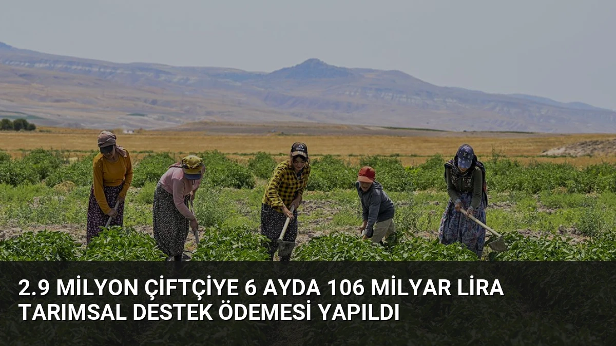 2.9 Milyon Çiftçiye 6 Ayda 106 Milyar Lira Tarımsal Destek Ödemesi Yapıldı