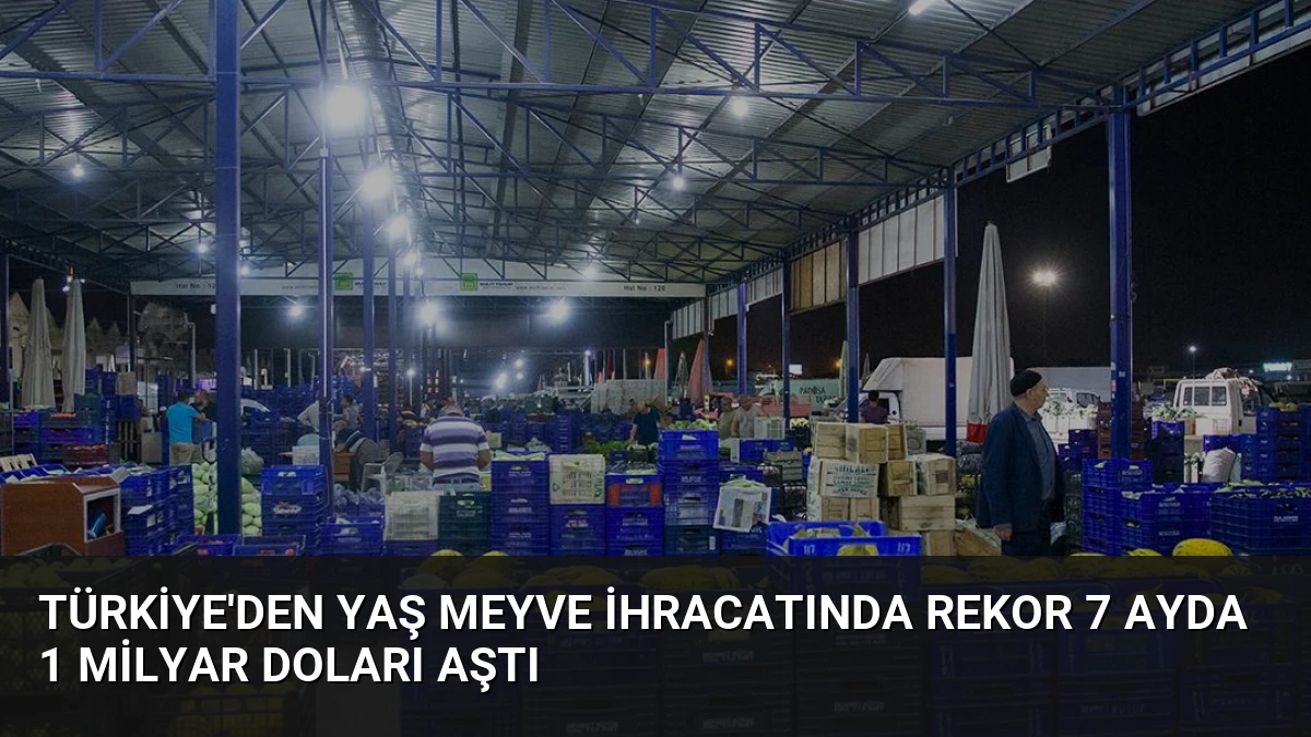 Türkiye’den Yaş Meyve İhracatında Rekor 7 Ayda 1 Milyar Doları Aştı