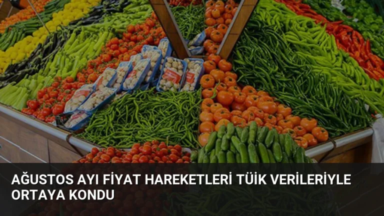 Ağustos Ayı Fiyat Hareketleri TÜİK Verileriyle Ortaya Kondu