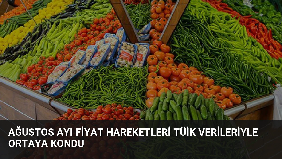 Ağustos Ayı Fiyat Hareketleri TÜİK Verileriyle Ortaya Kondu