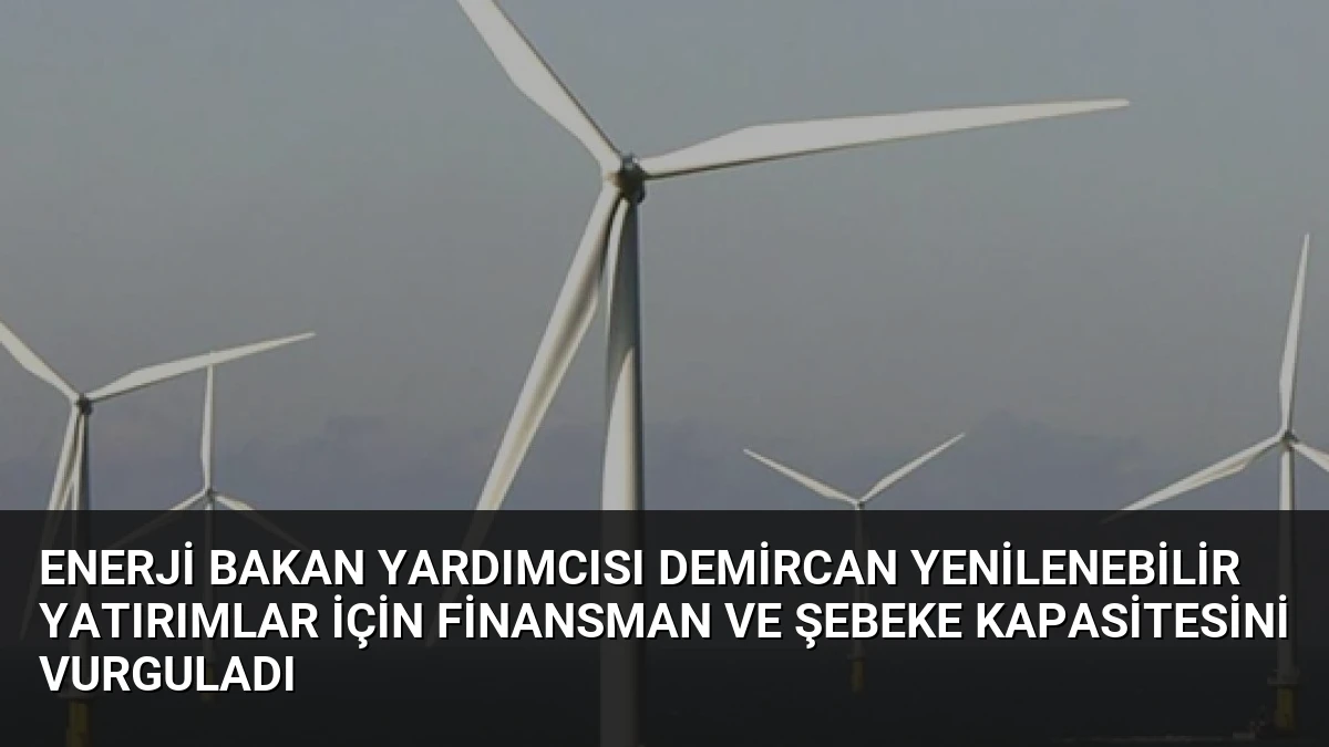 Enerji Bakan Yardımcısı Demircan Yenilenebilir Yatırımlar İçin Finansman ve Şebeke Kapasitesini Vurguladı