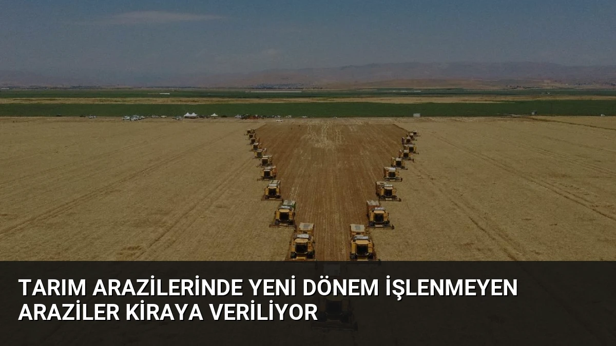Tarım Arazilerinde Yeni Dönem İşlenmeyen Araziler Kiraya Veriliyor