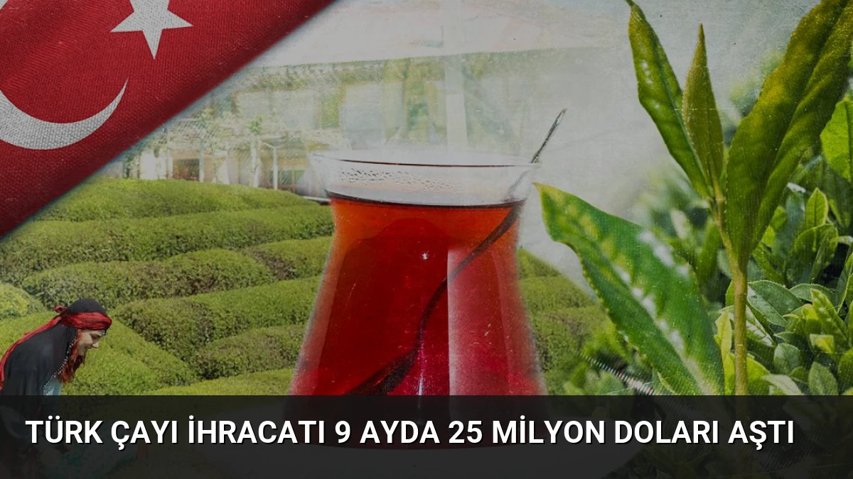 Türk Çayı İhracatı 9 Ayda 25 Milyon Doları Aştı